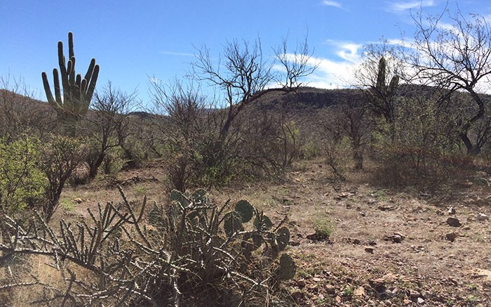 The landscape at Bacanora Minerals' Sonora Lithium project in northern Mexico. Source: Bacanora Minerals