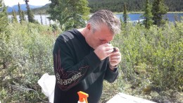 William Chornobay, Goldstrike Resources chief operating officer, examines a core sample from the Plateau South gold project, 300 km east of Dawson City in the Yukon. Credit: Goldstrike Resources