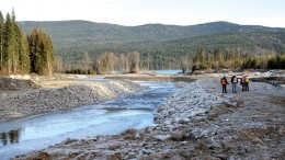A stretch of Hazeltine Creek, with the outlet to Quesnel Lake in the background, where reclamation work has helped clean up the spilled tailings from Imperial Metals' Mount Polley mine in British Columbia. Credit: Imperial Metals