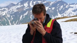 Warwick Board, Pretium Resources' chief geologist, inspects a sample while conducting regional exploration at the Brucejack gold project in British Columbia. Credit: Pretium Resources.