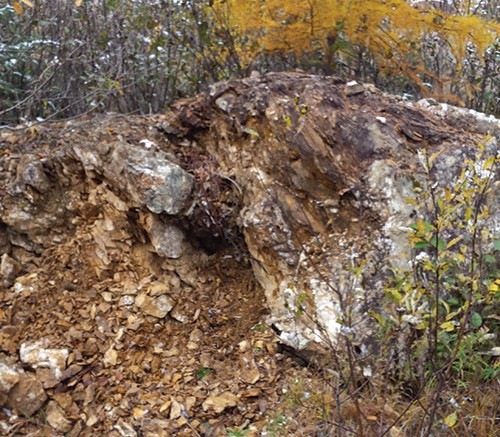 A skarn outcrop, running 1.5 km through Secova Metals' Duvay gold project, near Amos, Que., in the Abitibi belt. Credit: Secova Metals