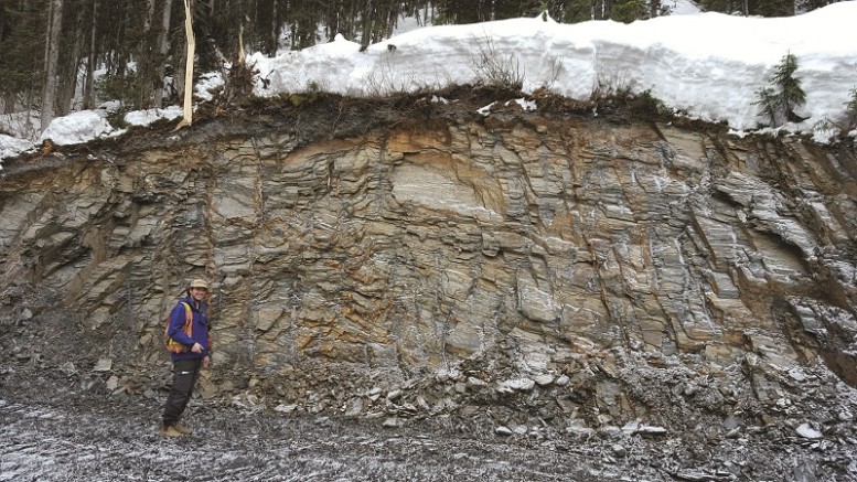 Senior geologist Jason Kosec at Barkerville Gold Mines’ Cow Mountain gold project in south-central British Columbia. Credit: Barkerville Gold Mines