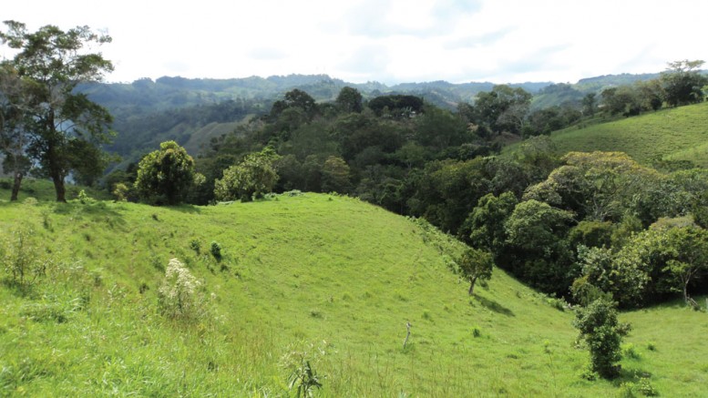 The view from the northern part of CB Gold’s Santa Ana silver property in Colombia, 190 km northeast of Bogota. Credit: CB Gold.
