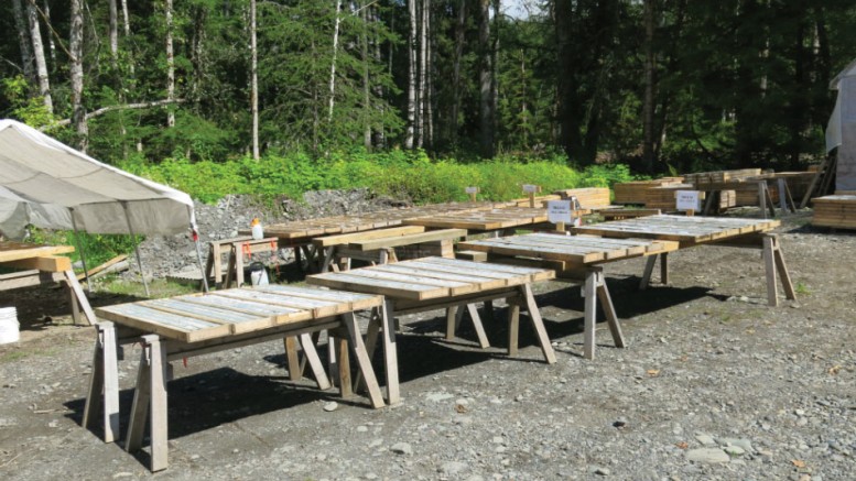 Core racks at Dolly Varden Silver’s namesake silver project in northwest British Columbia. Credit: Dolly Varden Silver.