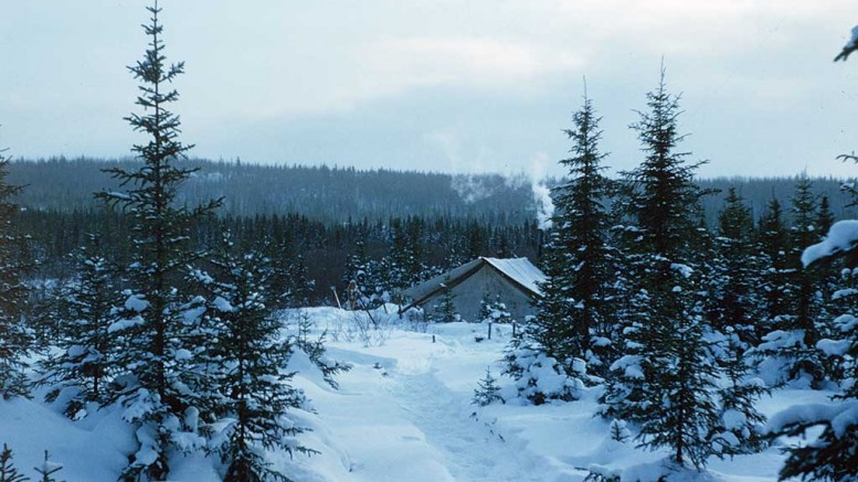 Our camp in the Doda Lake area of Quebec during the winter of 1958–1959. Photo by Harold Linder.