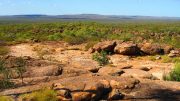 Laramide Resources' Westmoreland uranium property in Queensland, Australia. Credit: Laramide Resources.