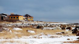 A polar bear outside the luxury Seal River Heritage Lodge in northern Manitoba. Credit: Manitobahot.com
