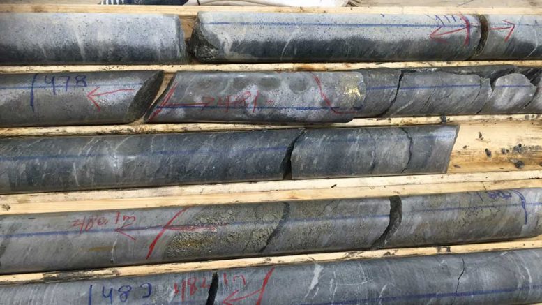 Drill core samples from the Windfall gold project. Credit: Osisko Mining.