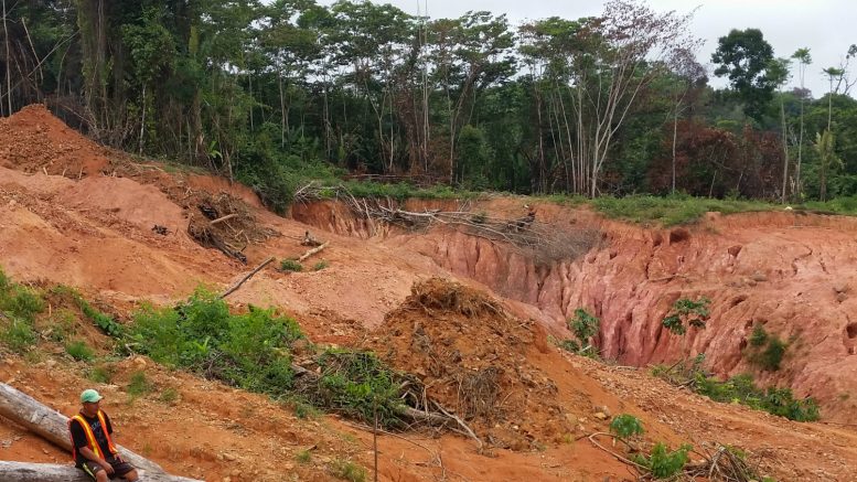 Guyana Goldstrike’s exploration program is being funded by a $3.2 million investment from the Zijin Mining Group. Credit: Guayana Goldstrike.