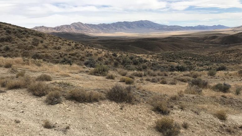 Terrain at the Coronado project with the Tobin and Sonoma Range in the background. Credit: Nevada Sunrise.