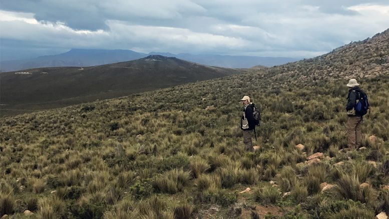 Auryn's Sombrero copper project in Peru. Credit: Auryn Resources.