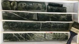 Drill core from Lumina Gold’s Gran Bestia gold target in Ecuador shows potassic alteration with abundant stockwork veining. This sample interval has a grade of 14.95 grams gold per tonne and 0.1% copper over 2 metres. Credit: Lumina Gold.