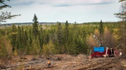 A drill rig in the Bear-Rimini zone at Great Bear Resources’ Dixie gold property in Red Lake, Ontario. Credit: Great Bear Resources Ltd.