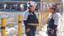 Pan American Silver cuts guidance on labour shortages, higher costs