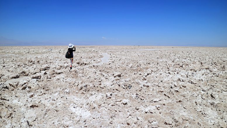 SQM files project to cut water, brine extraction in Chile