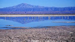 How to accurately determine the impact of lithium mining on water sources