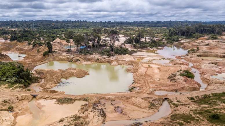 New traceability tool could help Brazil’s crack down on illegal gold mining