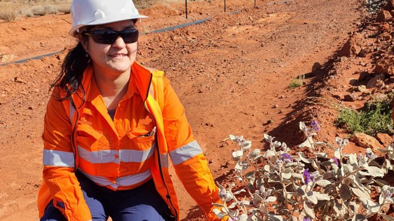 Review: The Mine that Fell Asleep in the Goldfields awakens young minds