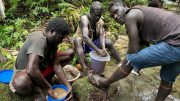 Island Passage Bougainville PNG