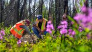 LI-FT Power Yellowknife Lithium Project NWT