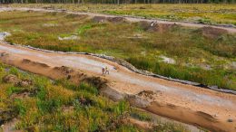 Contaminants affect invertebrates years after Mount Polley mine disaster