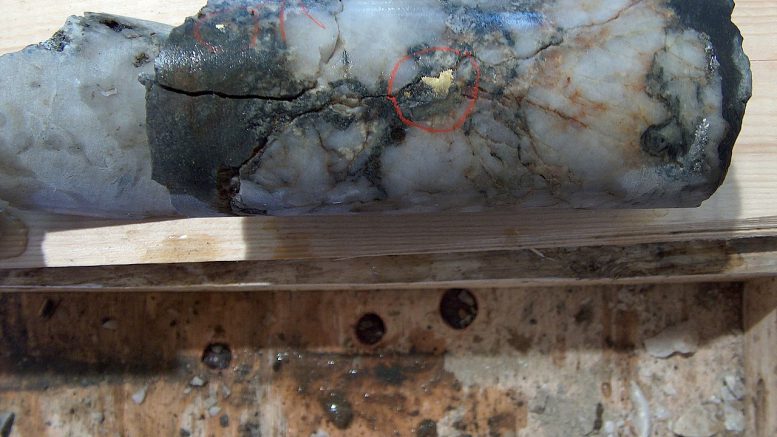 NexGold historical core Goldboro Nova Scotia