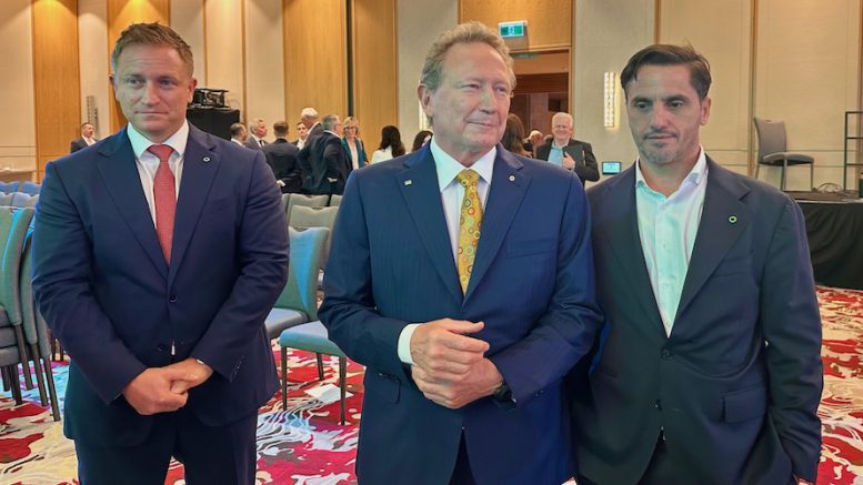 Fortescue’s Forrest doesn’t get the hype over critical minerals