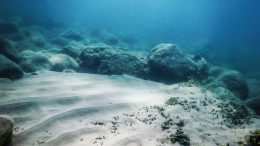 Deep-sea mining debate reaches critical global moment