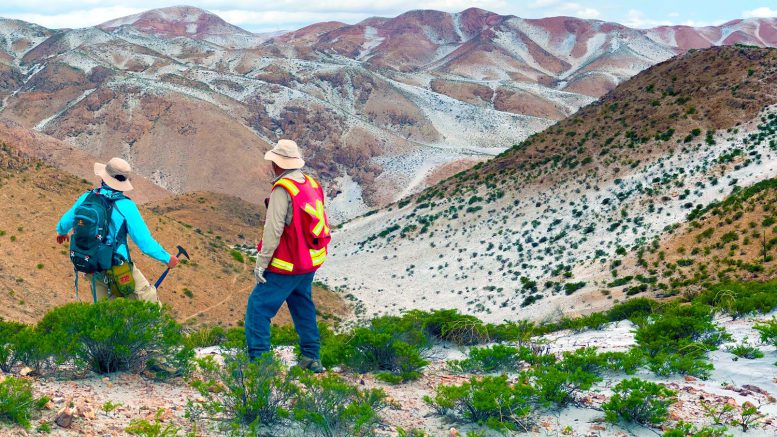 Element 29 drills record 1.5-km Elida interval