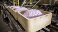 Australia fast-tracks critical minerals stockpile