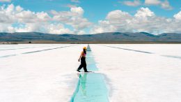 UK scientists turn to biology to unlock cleaner lithium