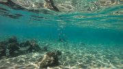 Deep-sea mining faces surprise risk of rocks catching fire